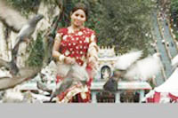 Chikki Mukki Movie Hot Photos